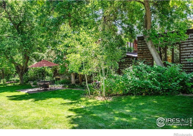 view of yard featuring a patio