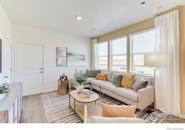 living room with light wood-type flooring