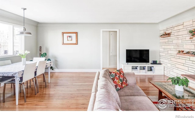 living room featuring ornamental molding and hardwood / wood-style flooring