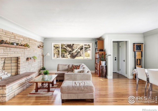 living room featuring a fireplace, ornamental molding, and light hardwood / wood-style floors