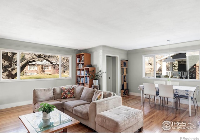 living room with light hardwood / wood-style flooring