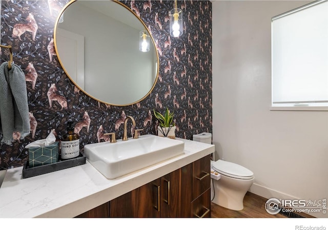 bathroom featuring toilet and vanity