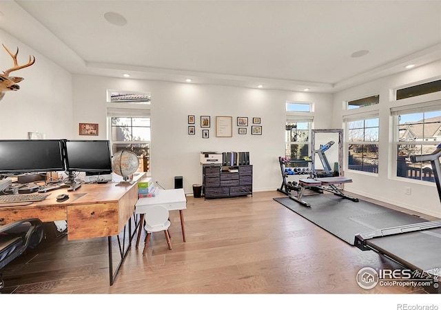 office area featuring light hardwood / wood-style floors, a wealth of natural light, and a raised ceiling