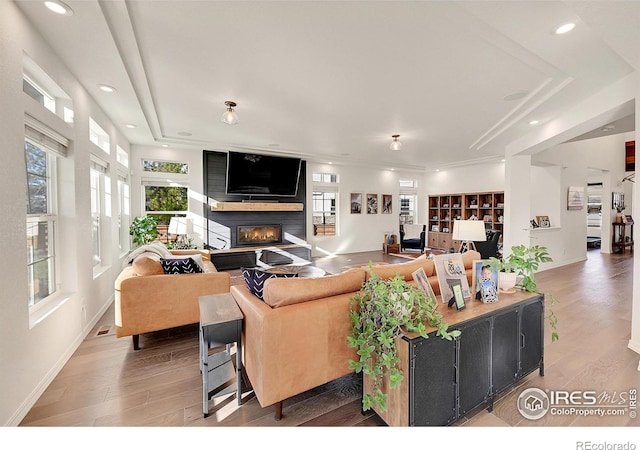 living room with wood-type flooring, ornamental molding, and a large fireplace