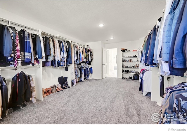 spacious closet featuring carpet flooring