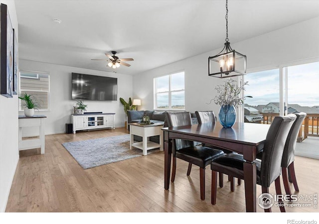 dining room featuring ceiling fan and light hardwood / wood-style flooring