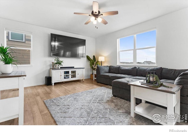 living room with ceiling fan and hardwood / wood-style floors