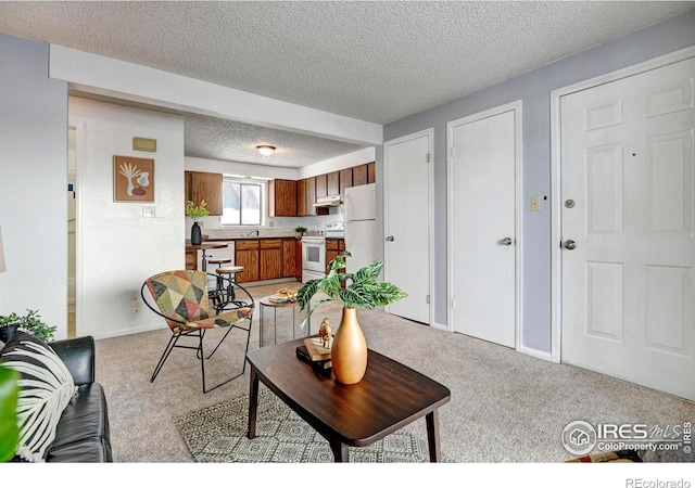 carpeted living room with a textured ceiling