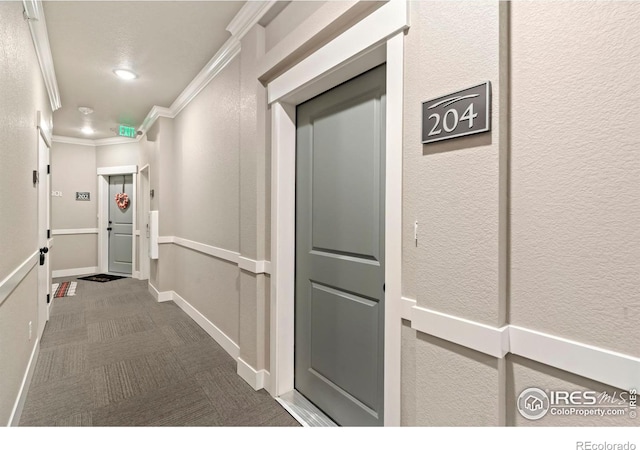 hall with carpet and crown molding