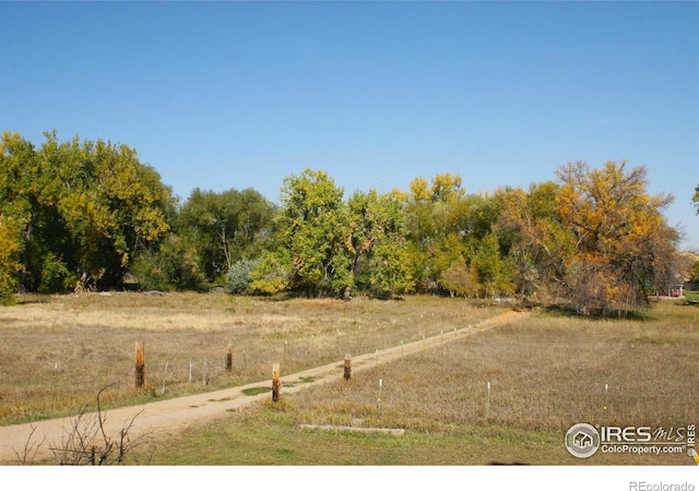 view of yard with a rural view