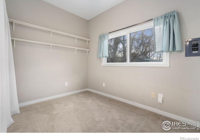 walk in closet featuring carpet