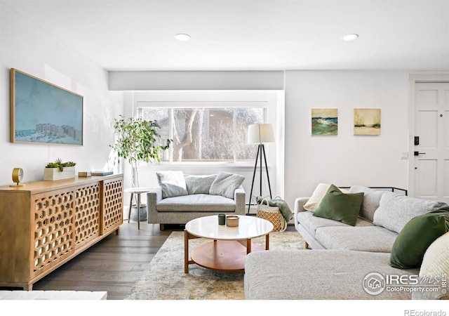 living room featuring dark hardwood / wood-style flooring