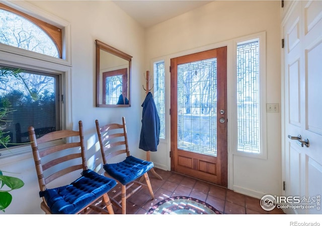 tiled entryway featuring plenty of natural light