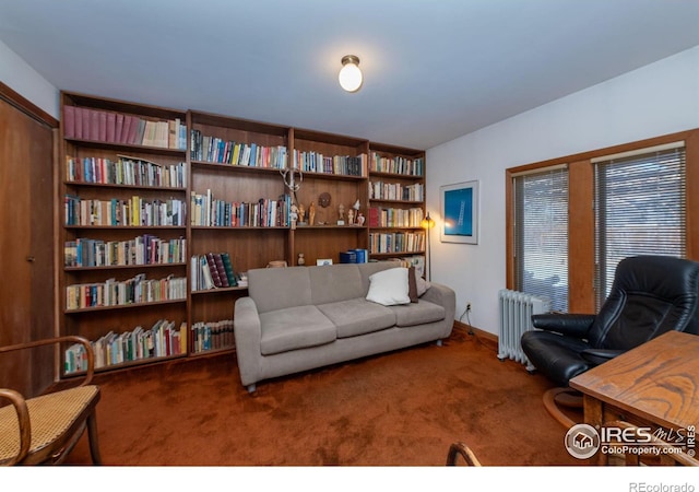 interior space with carpet floors and radiator heating unit