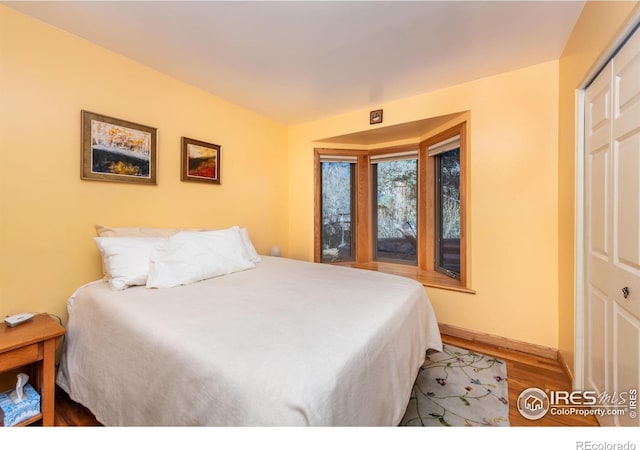 bedroom featuring a closet and wood-type flooring