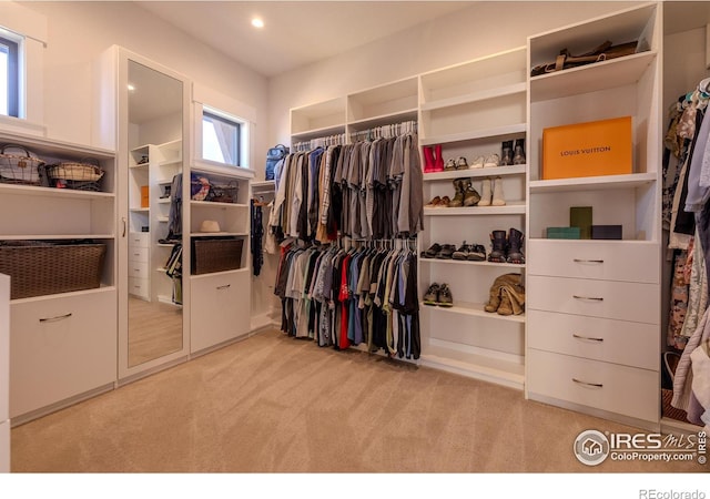 spacious closet featuring light colored carpet