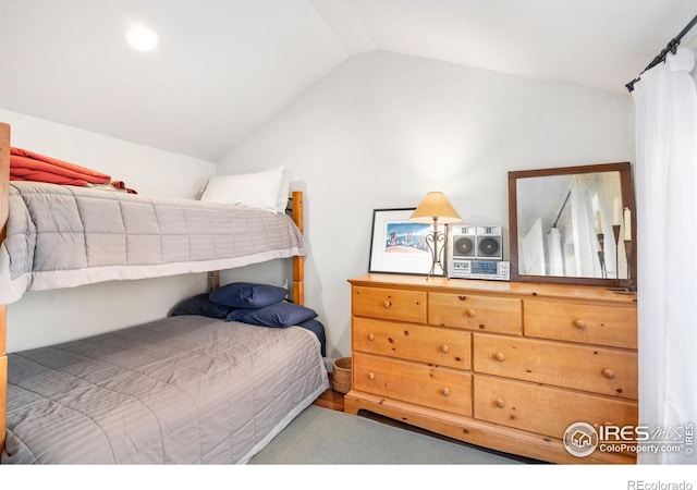 bedroom featuring vaulted ceiling