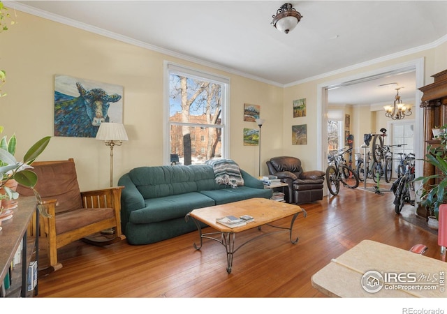 living room with hardwood / wood-style flooring, a chandelier, and ornamental molding