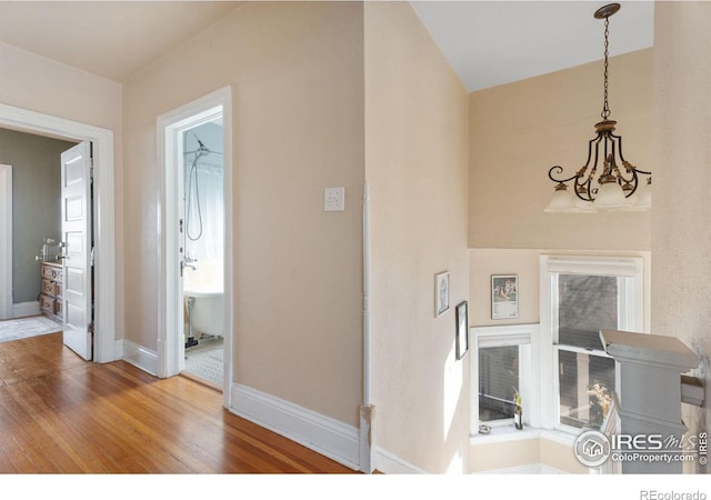 foyer entrance featuring hardwood / wood-style flooring