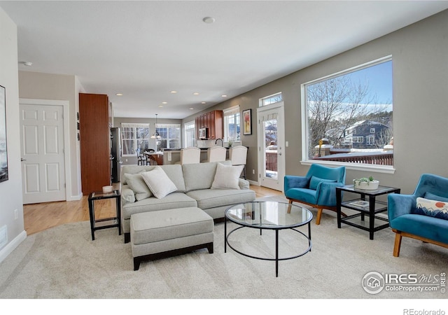 living room featuring light hardwood / wood-style flooring