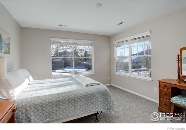 bedroom featuring carpet