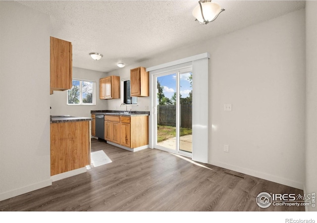 kitchen with sink, wood-type flooring, a textured ceiling, and dishwasher