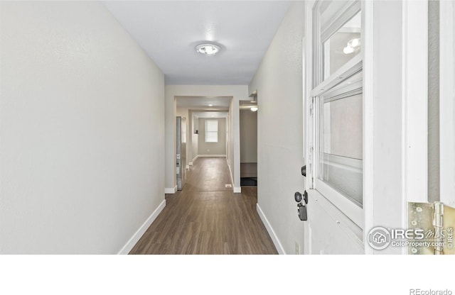 corridor with dark hardwood / wood-style flooring