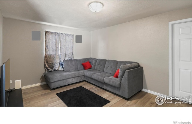 living room featuring wood-type flooring