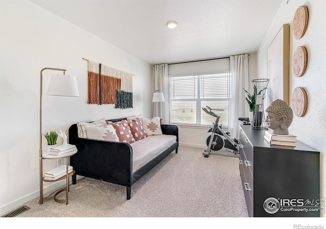 view of carpeted living room