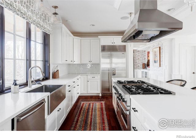 kitchen featuring pendant lighting, white cabinetry, sink, island range hood, and high quality appliances