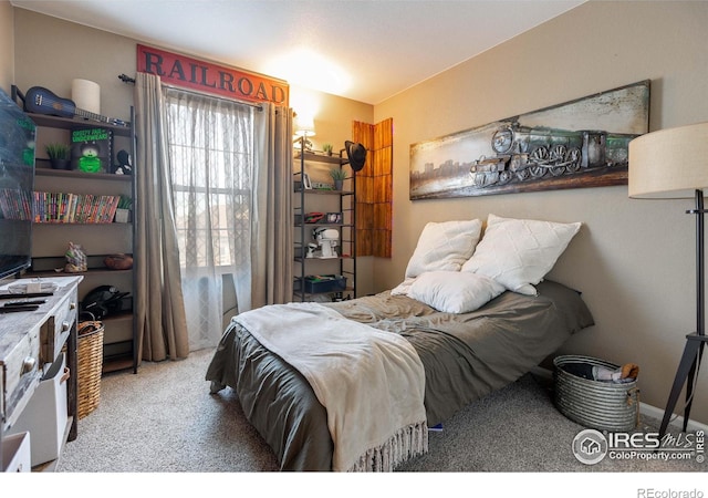 view of carpeted bedroom