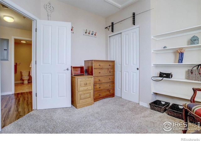 interior space featuring carpet floors, a closet, electric panel, and baseboards