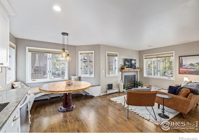 living area featuring wood finished floors, a baseboard radiator, a fireplace, recessed lighting, and breakfast area