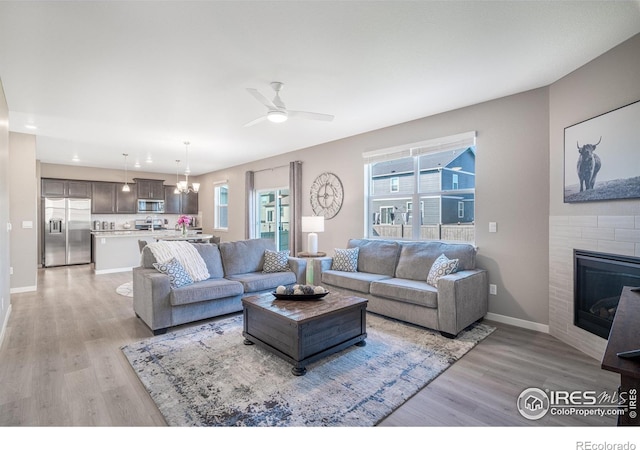 living room featuring ceiling fan with notable chandelier and light hardwood / wood-style flooring