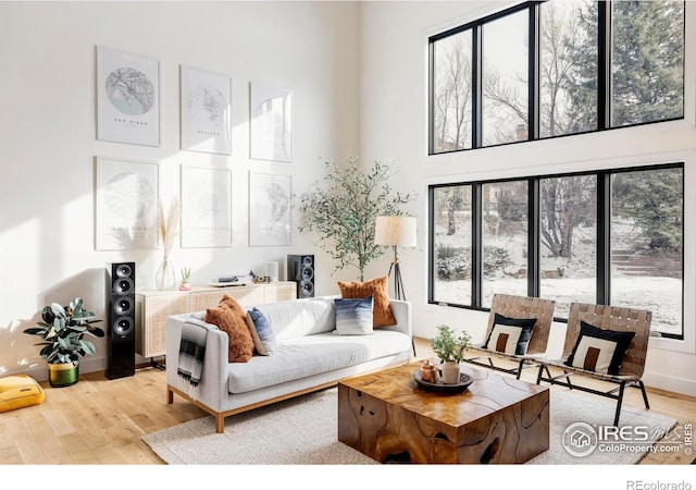 living room featuring light hardwood / wood-style flooring and a wealth of natural light