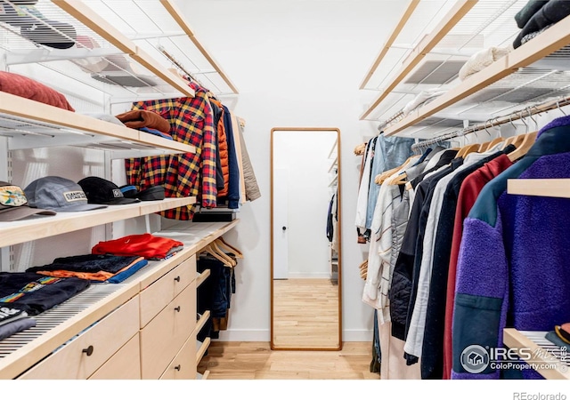 spacious closet with light hardwood / wood-style floors