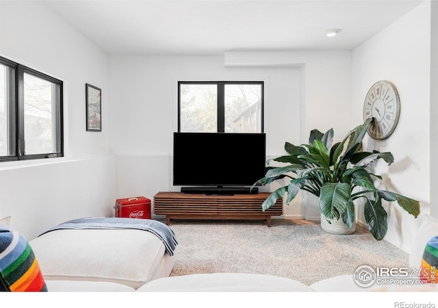 living room with plenty of natural light and carpet flooring