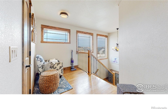 foyer entrance with light hardwood / wood-style flooring