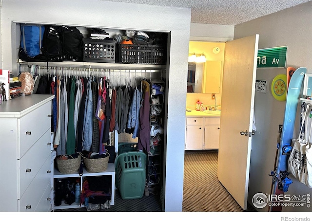 closet with sink