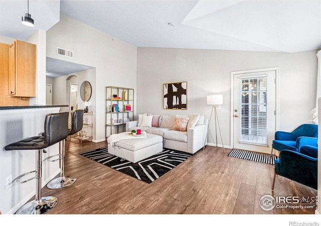 living room featuring lofted ceiling and dark wood-type flooring