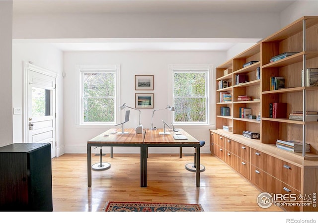 office space with light hardwood / wood-style floors