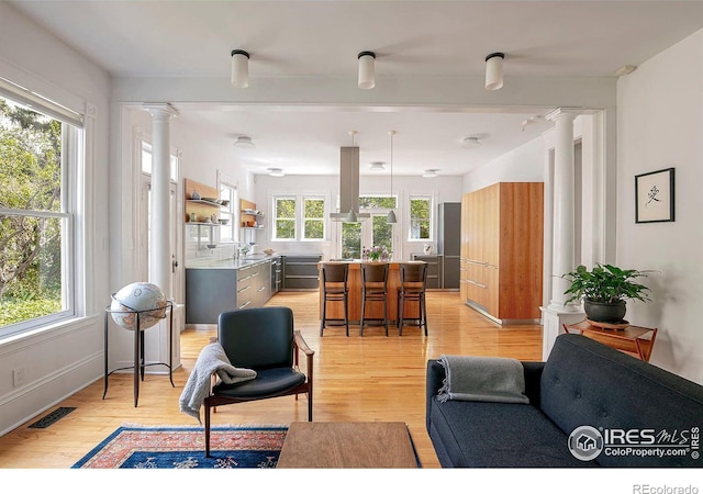 living room with sink, light hardwood / wood-style flooring, a healthy amount of sunlight, and ornate columns