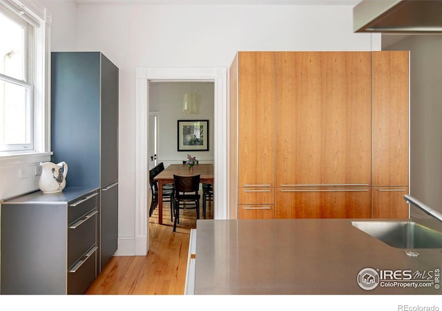 kitchen with sink and light hardwood / wood-style flooring