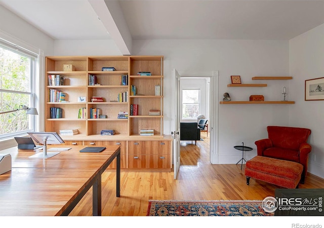 home office featuring light hardwood / wood-style floors