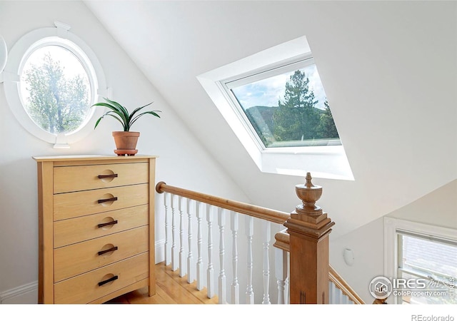 interior space featuring vaulted ceiling with skylight