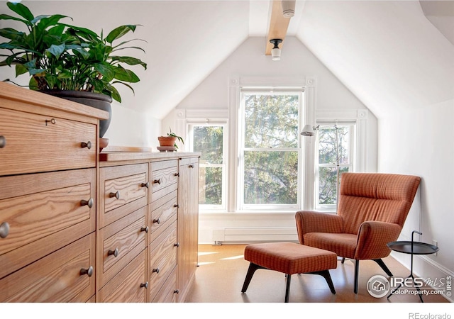 living area featuring light carpet and vaulted ceiling