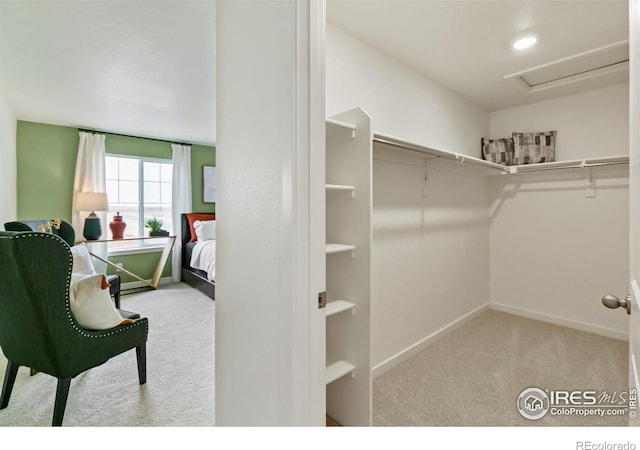 spacious closet with light carpet