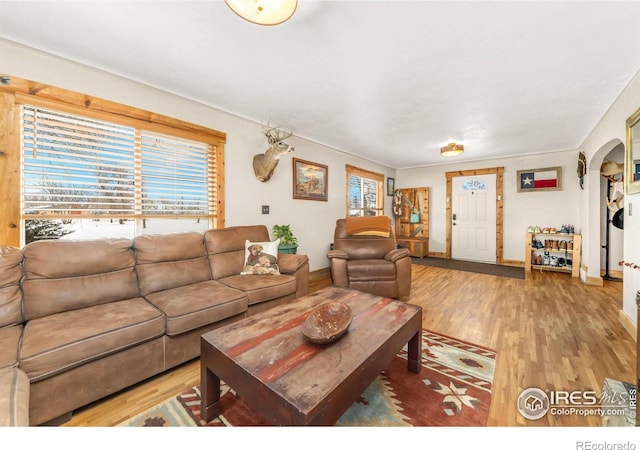 living room featuring hardwood / wood-style flooring