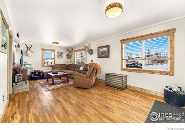 living room featuring light wood-type flooring