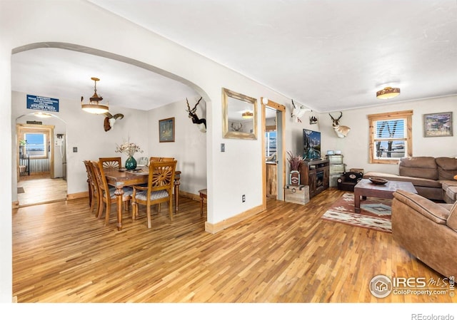 living room with light wood-type flooring